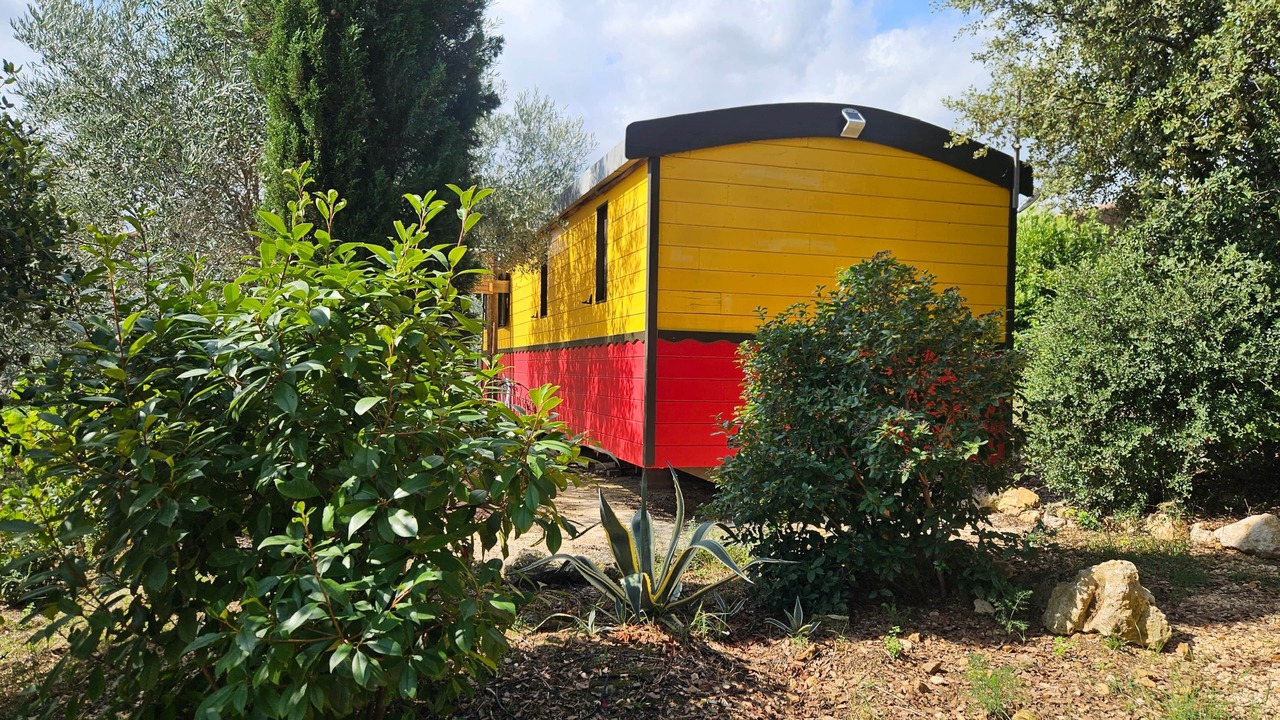 Photo of Outdoor in Baron