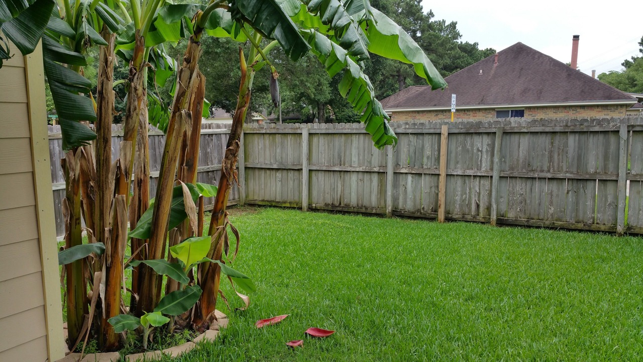 Photo of Outdoor in Louetta