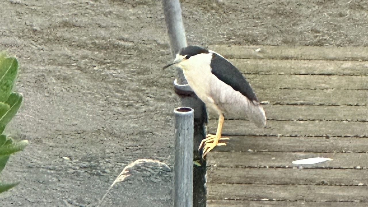 Photo of Outdoor in Algonquin