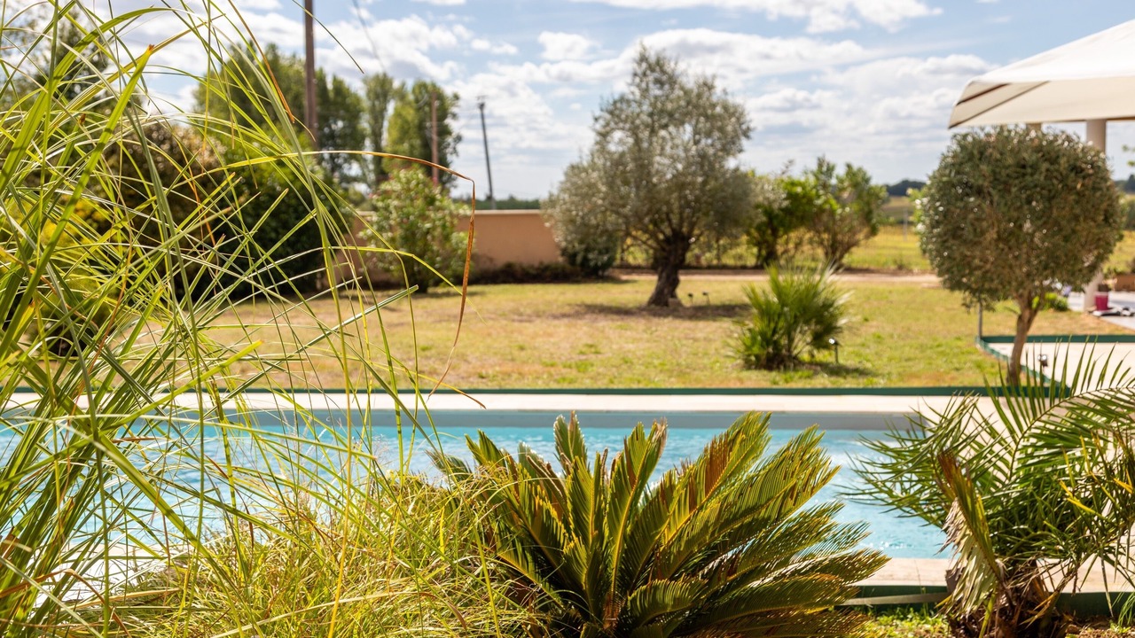 Photo of Outdoor in Tourtres
