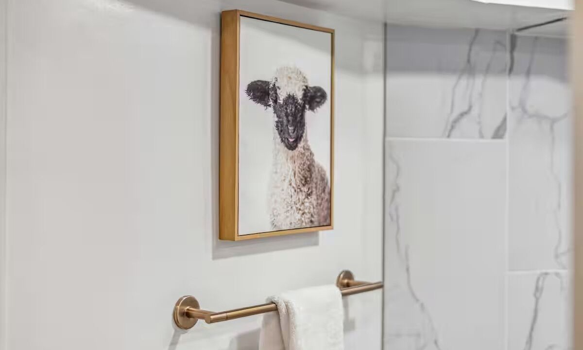 Photo of Bathroom in Golden Triangle