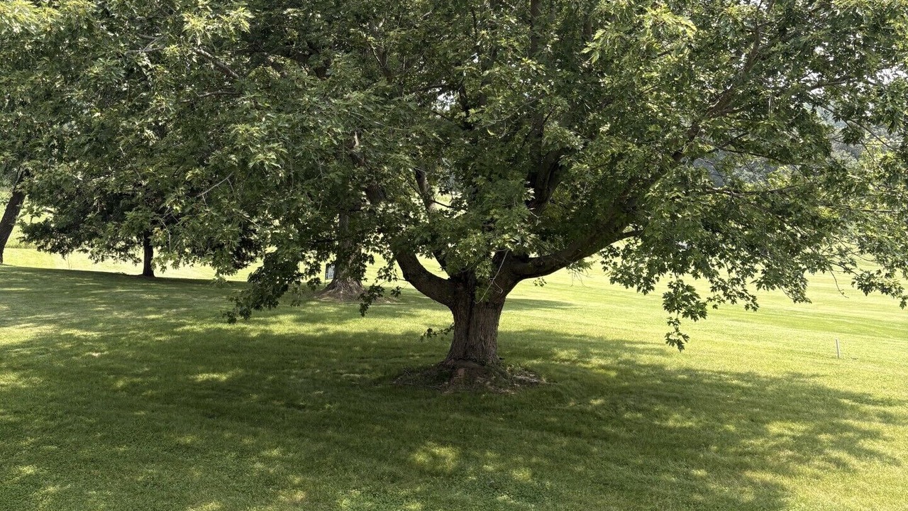 Photo of Others in Apple River