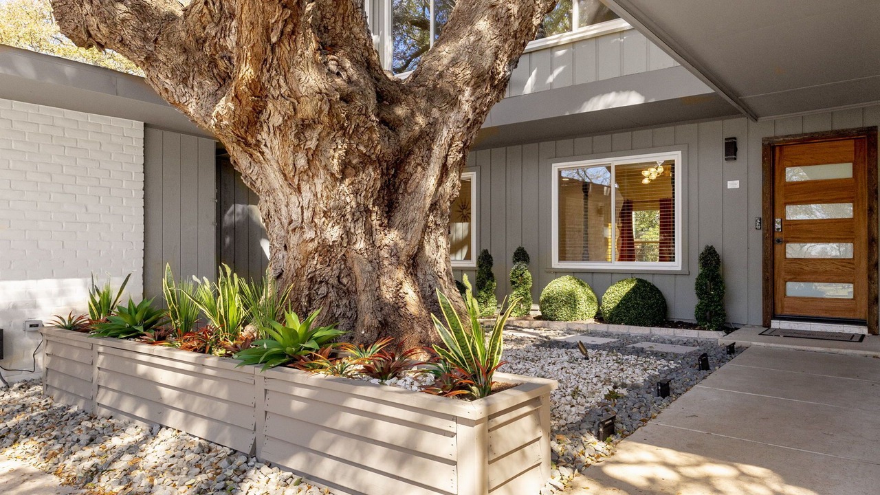 Photo of Outdoor in North San Antonio - SAT