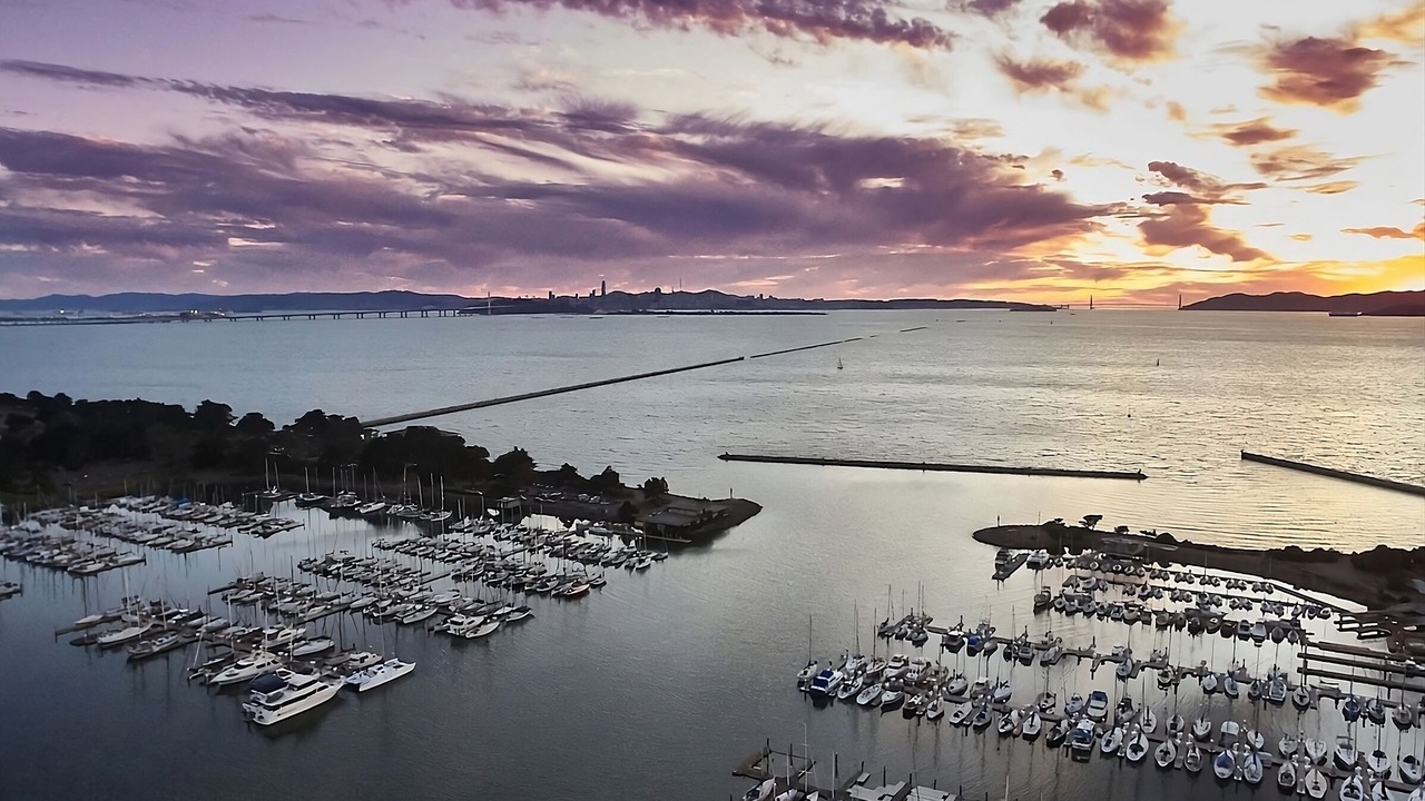 Photo of Others in Berkeley