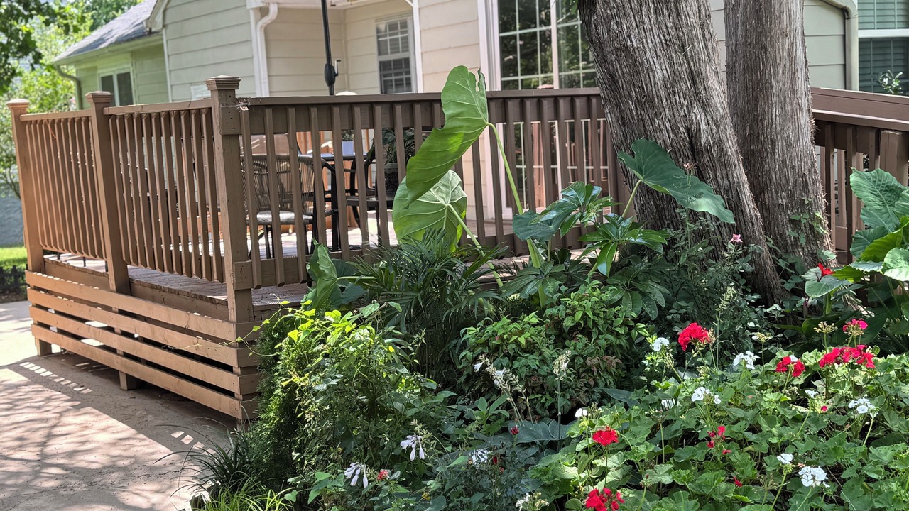 Photo of Patio Balcony in Hermitage
