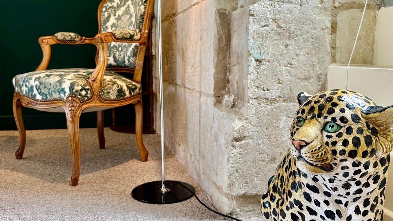 Photo of Others in Azay-le-Rideau