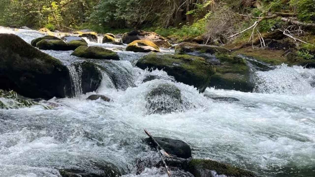 Photo of Others in Zigzag