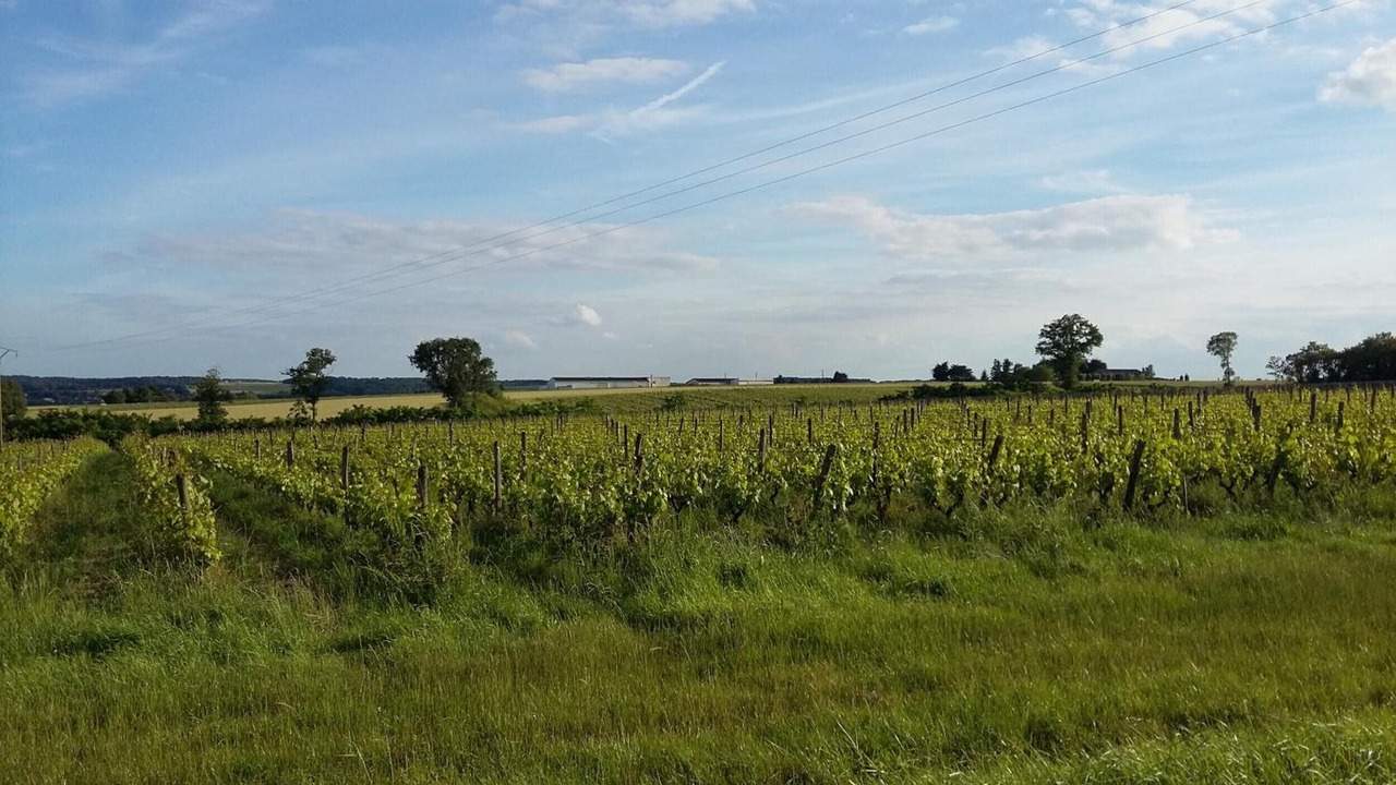 Photo of Others in Civray-de-Touraine
