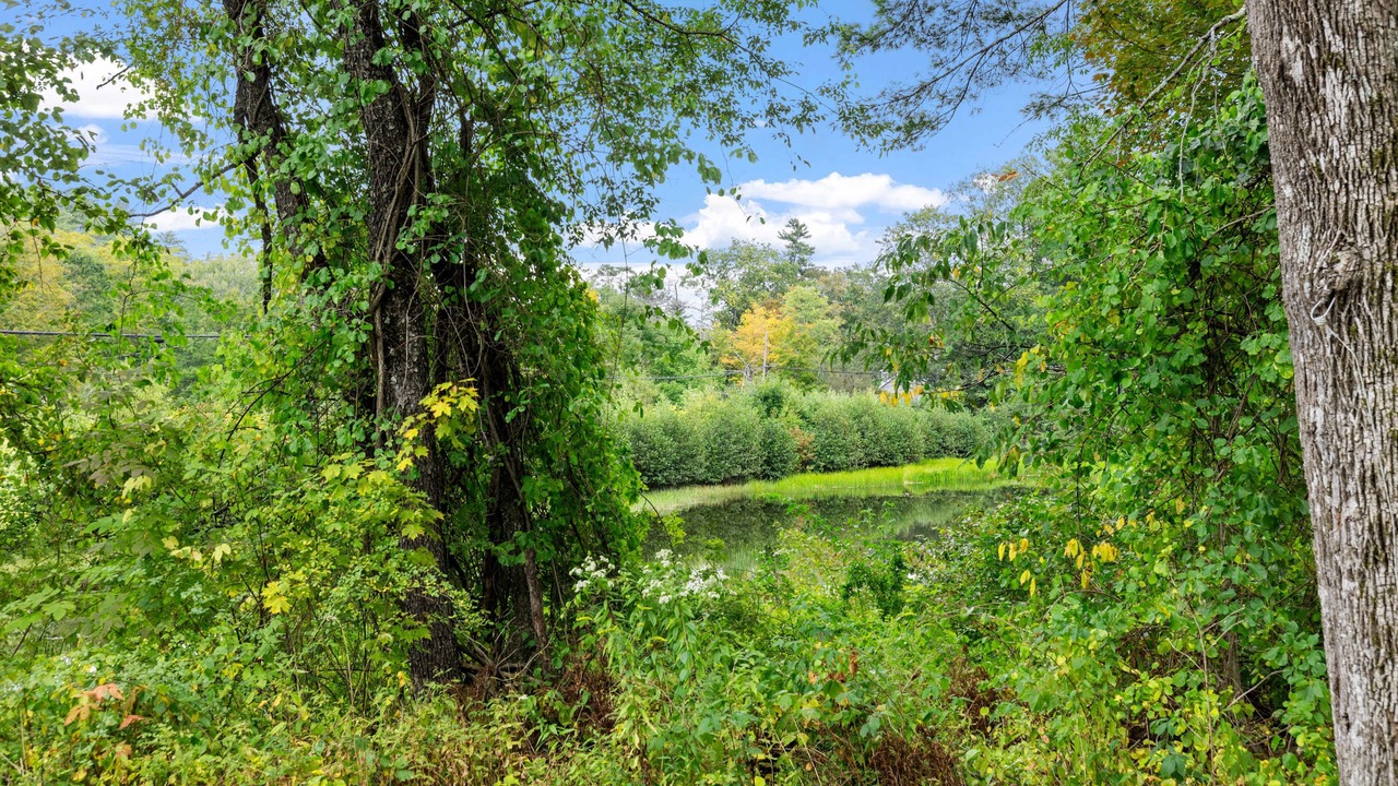 Photo of Others in Bradford