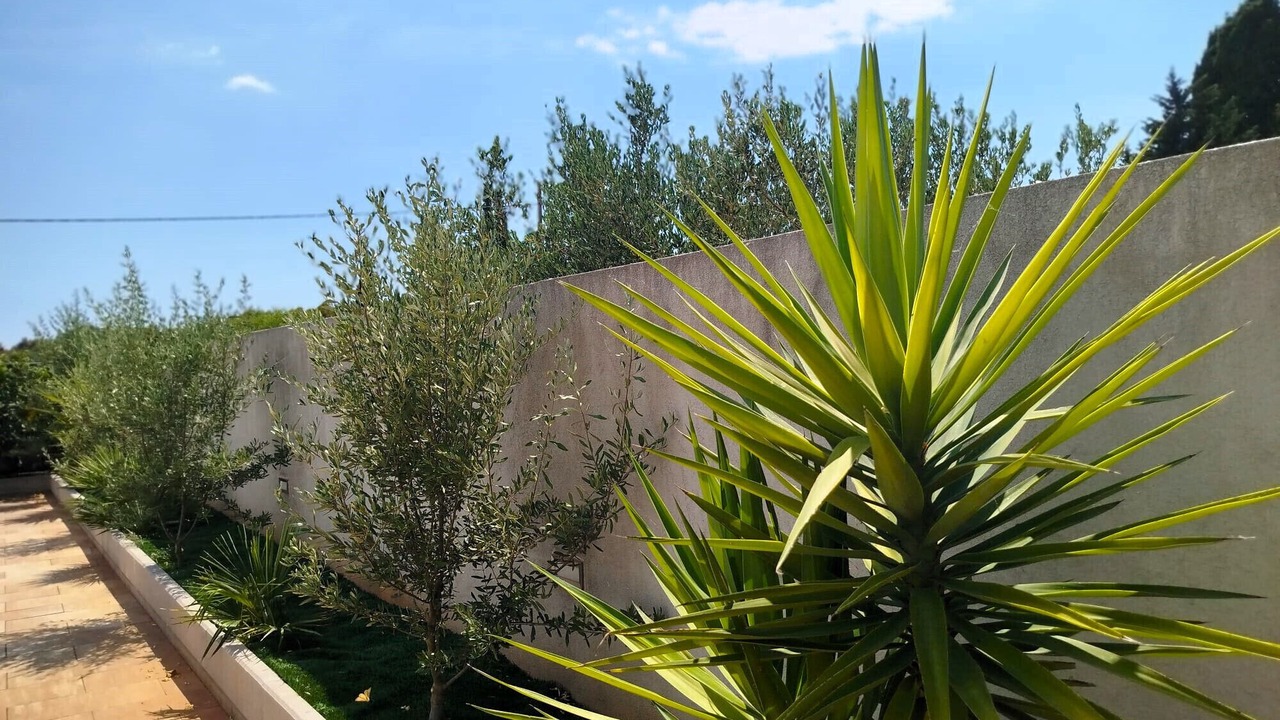 Photo of Outdoor in Bogomolje