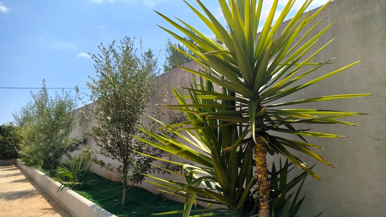 Photo of Outdoor in Bogomolje