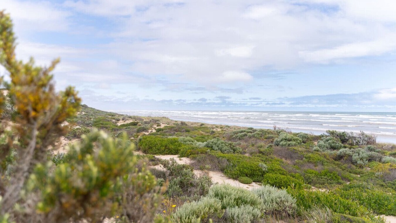 Photo of Others in Goolwa Beach