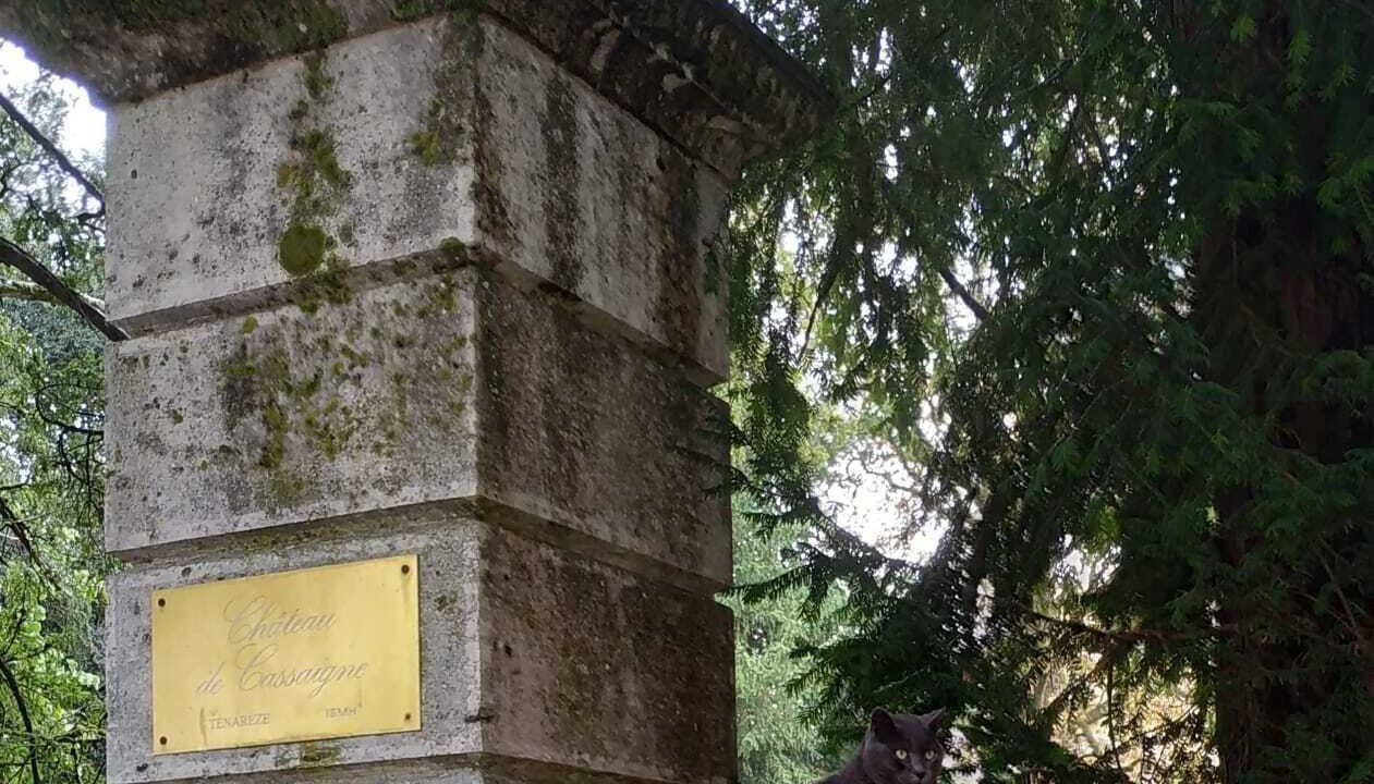 Photo of Outdoor in Cassaigne