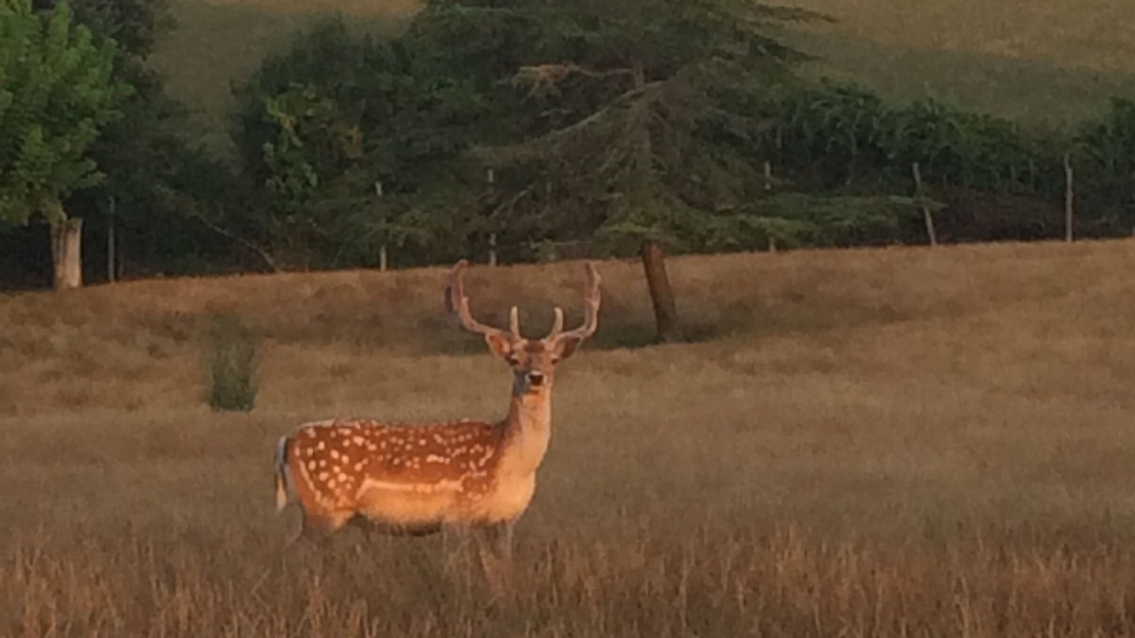 Photo of Others in Cassaigne