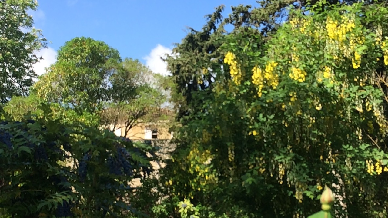 Photo of Outdoor in Cassaigne