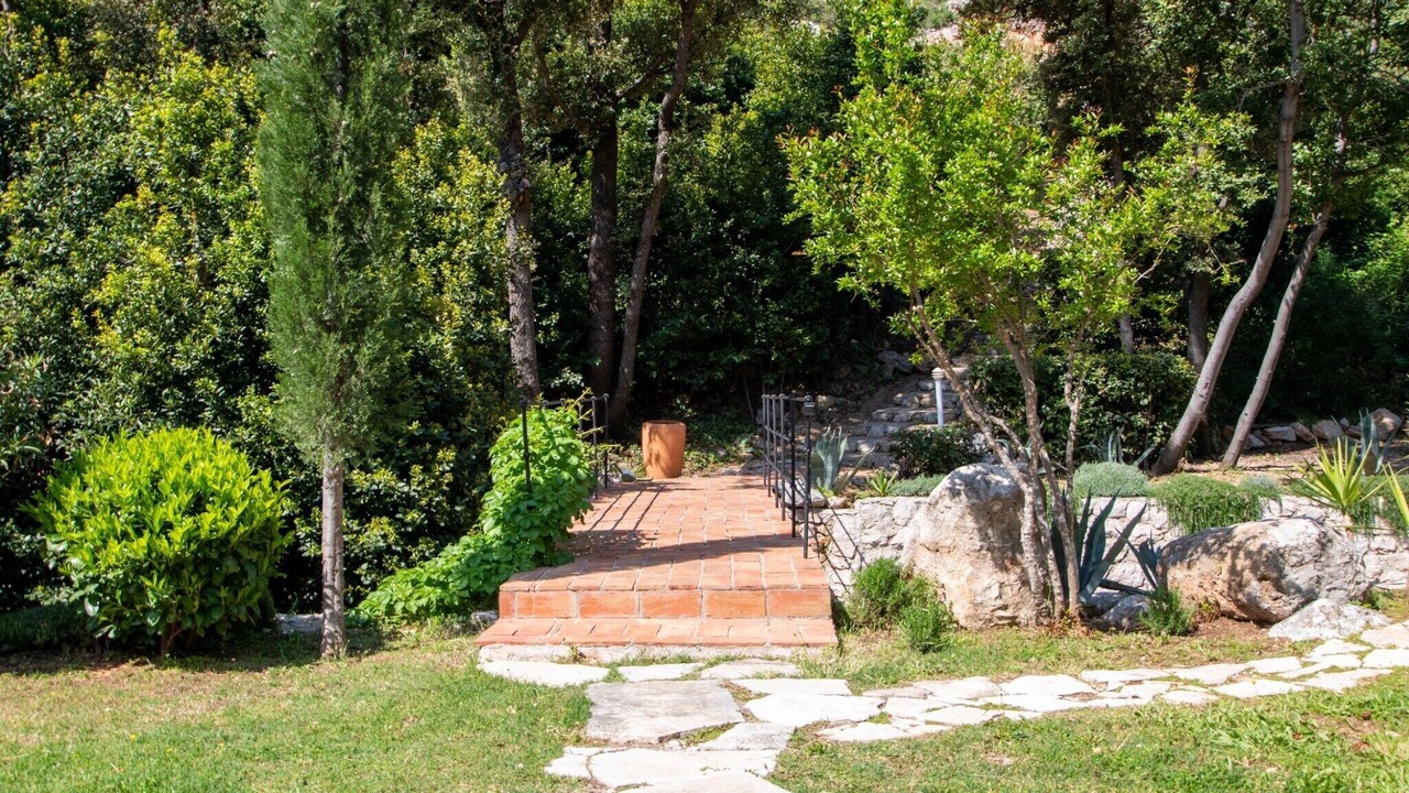 Photo of Outdoor in Trstenik