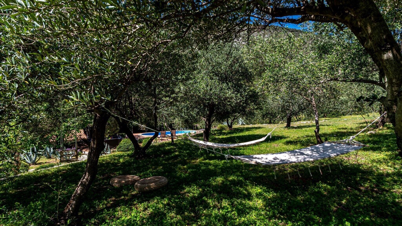 Photo of Outdoor in Trstenik