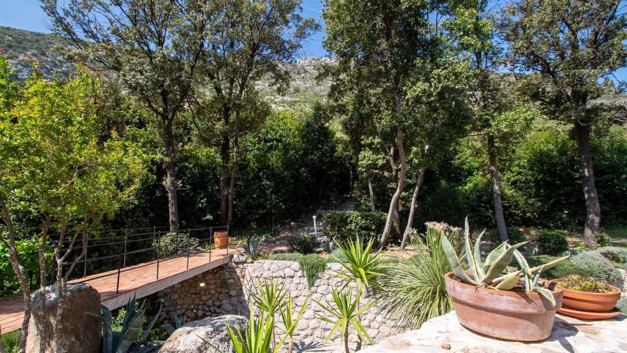 Photo of Outdoor in Trstenik