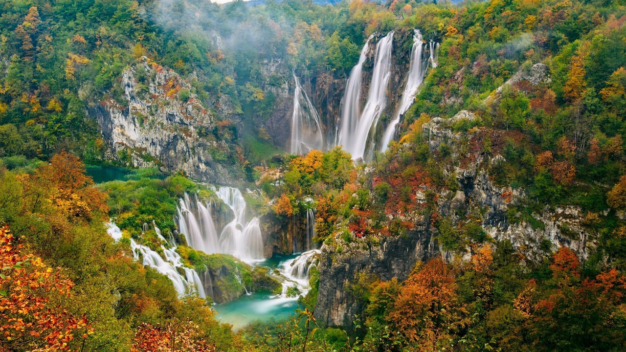 Photo of Others in Irinovac