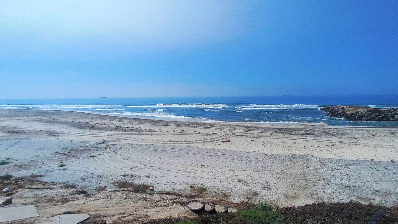 Photo of Others in Rosarito