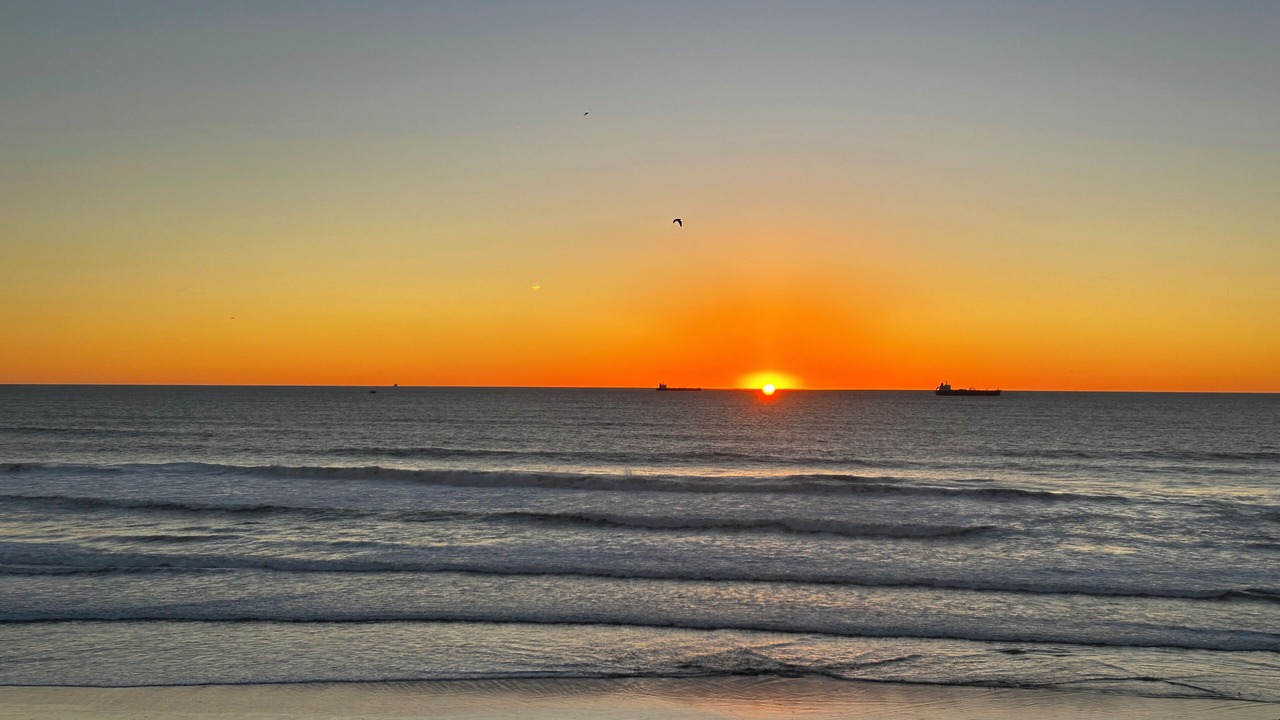 Photo of Others in Rosarito