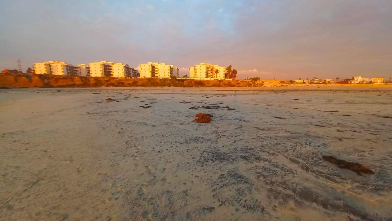 Photo of Others in Rosarito