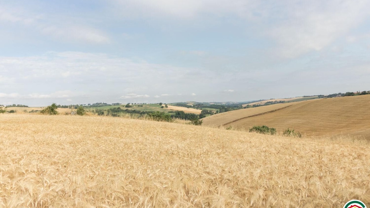 Photo of Others in Aignes