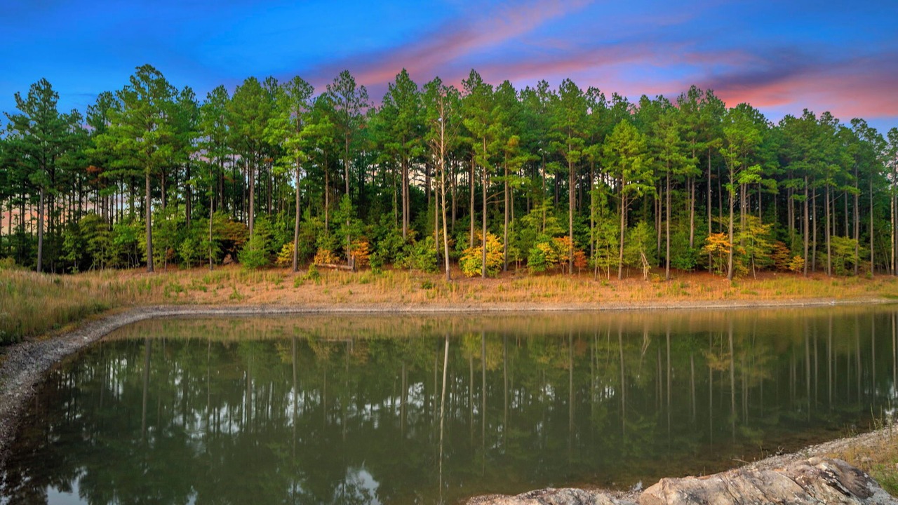 Photo of Others in Pickens