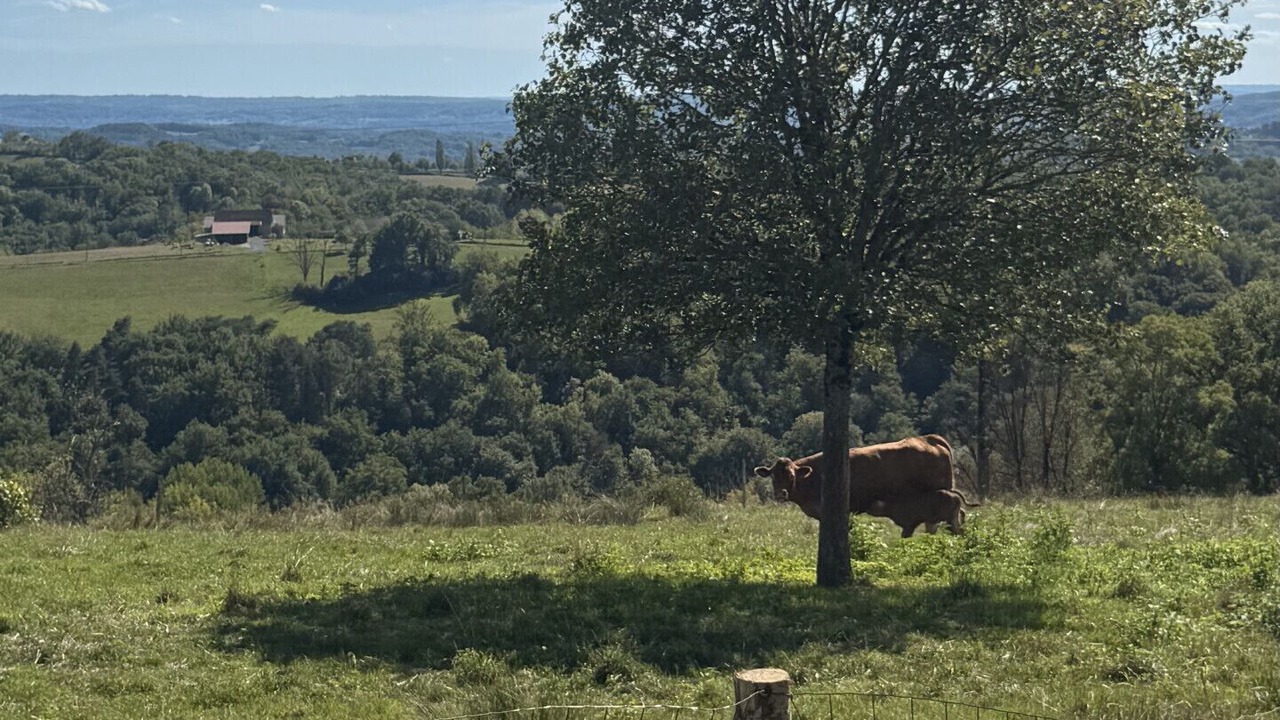 Photo of Others in Tudeils