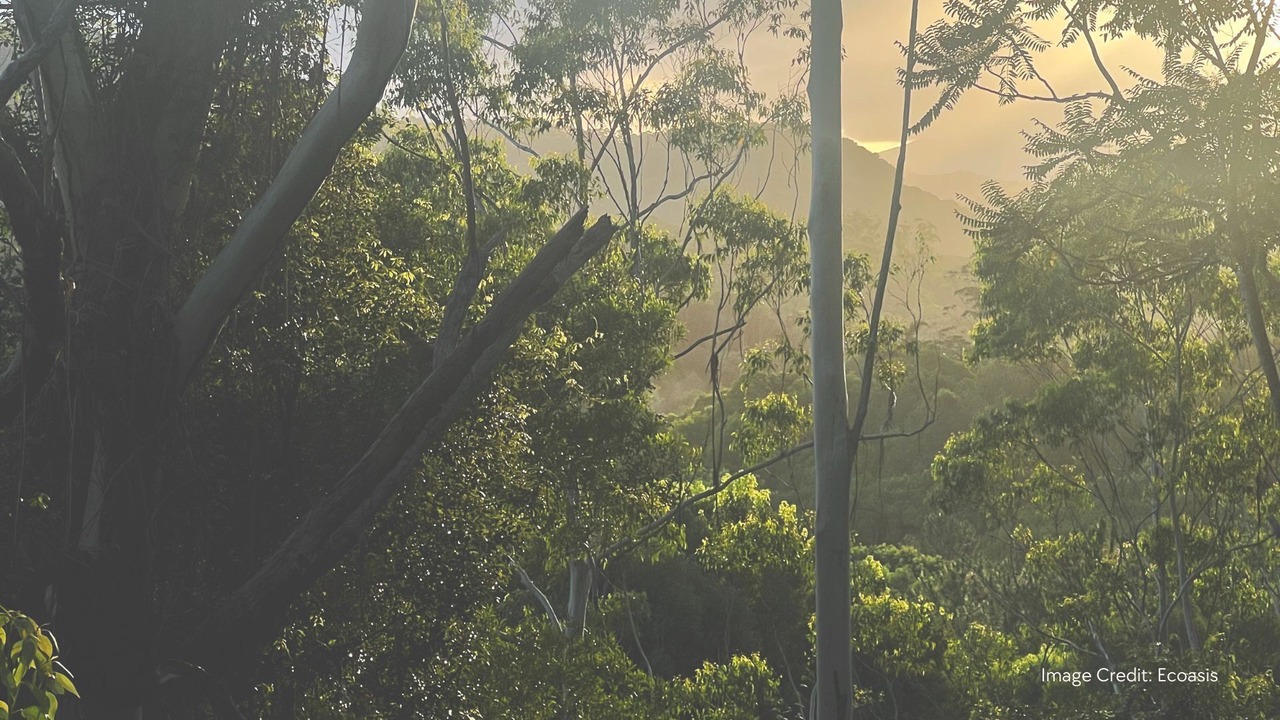 Photo of Others in Smiths Creek