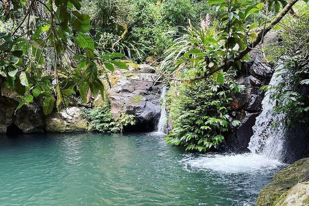 Photo of Others in Smiths Creek