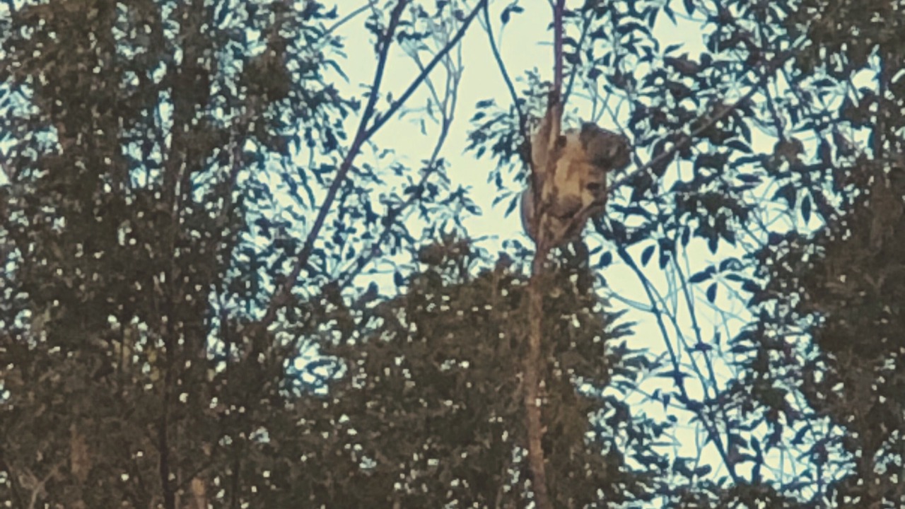 Photo of Others in Smiths Creek