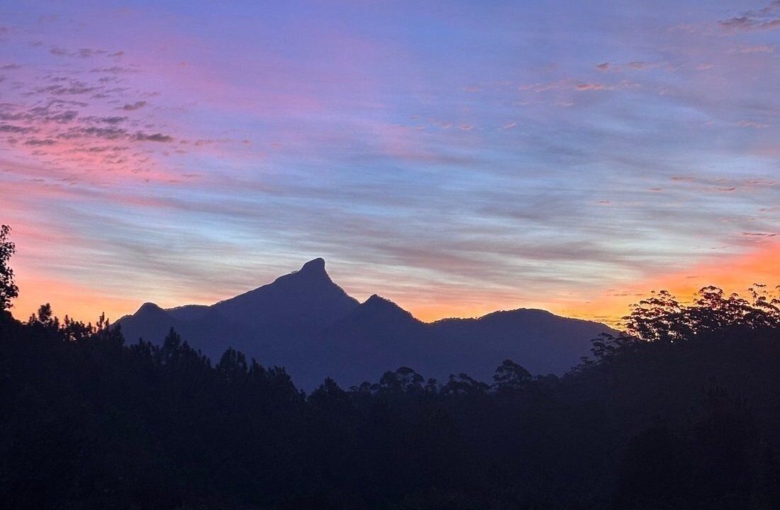 Photo of Others in Smiths Creek