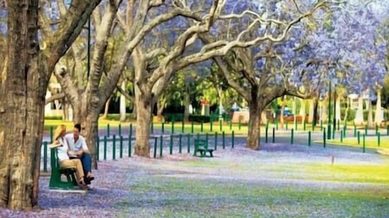 Photo of Others in Bowen Hills