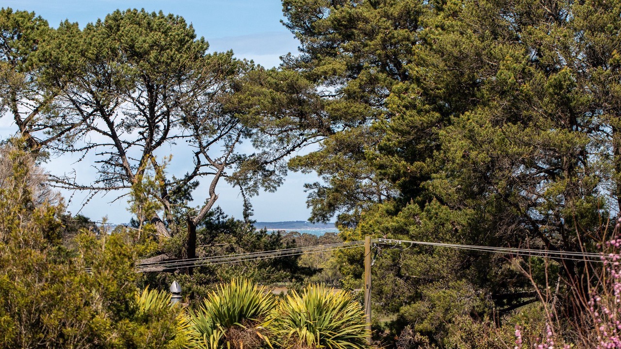 Photo of Others in Balnarring