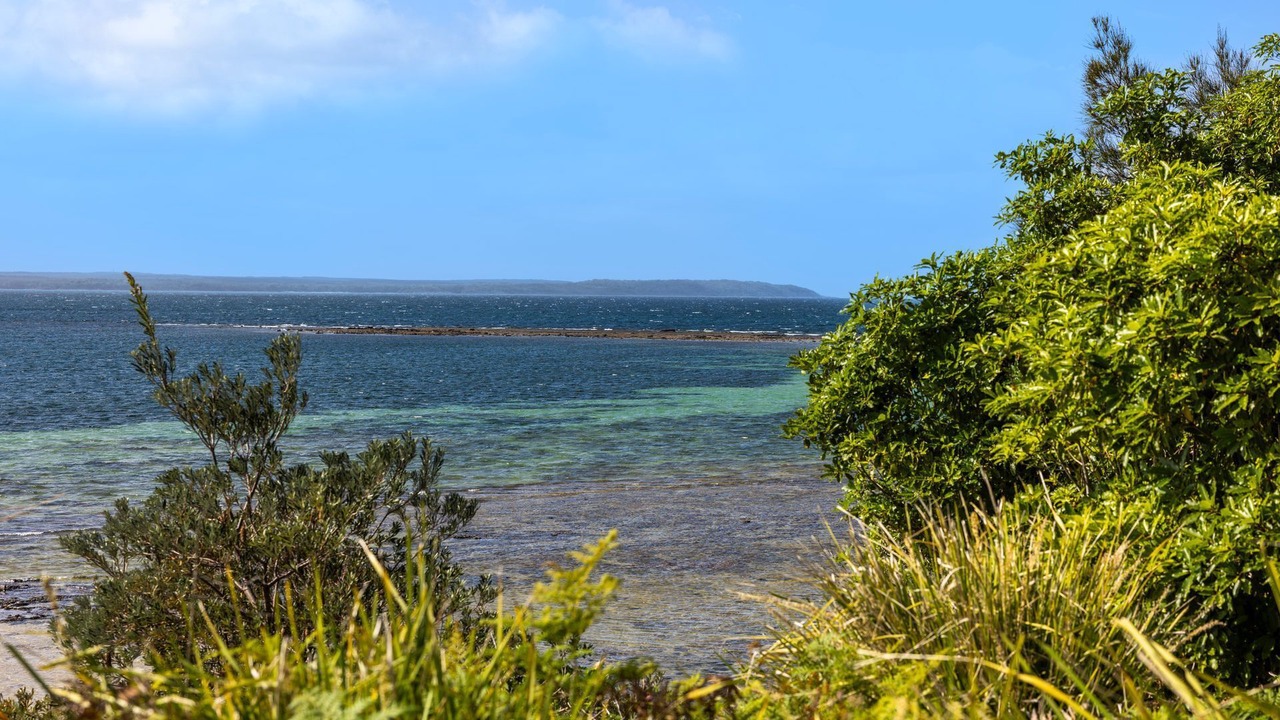 Photo of Others in Callala Bay
