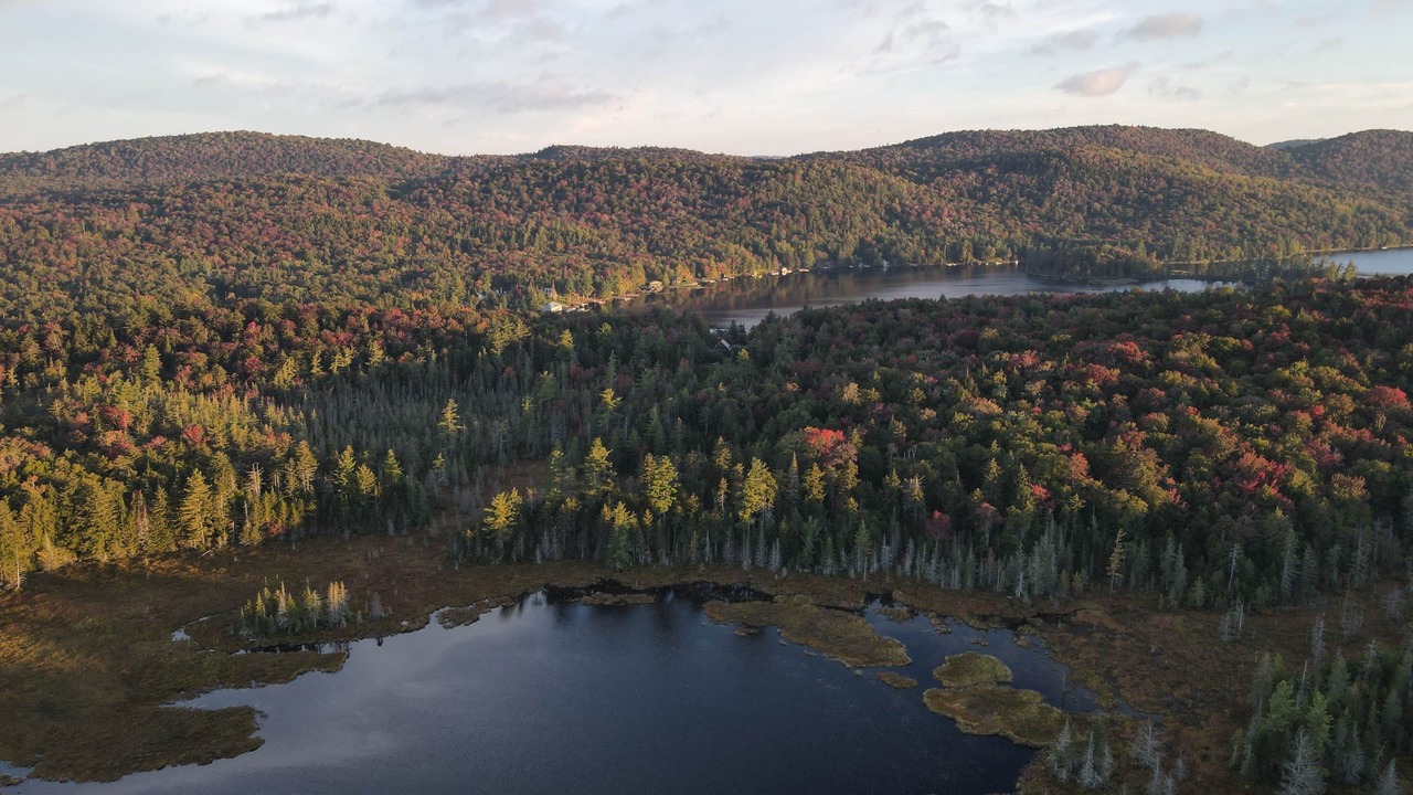 Photo of Others in Town of Webb