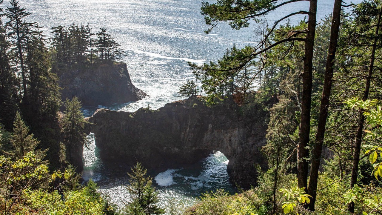 Photo of Others in Gold Beach