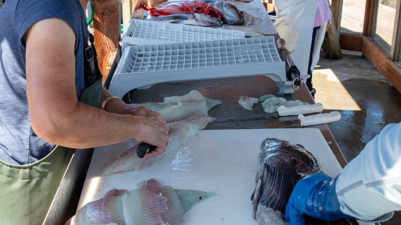 Photo of Others in Gold Beach