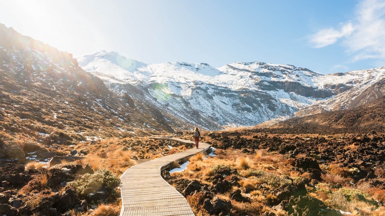 Photo of Others in Turangi