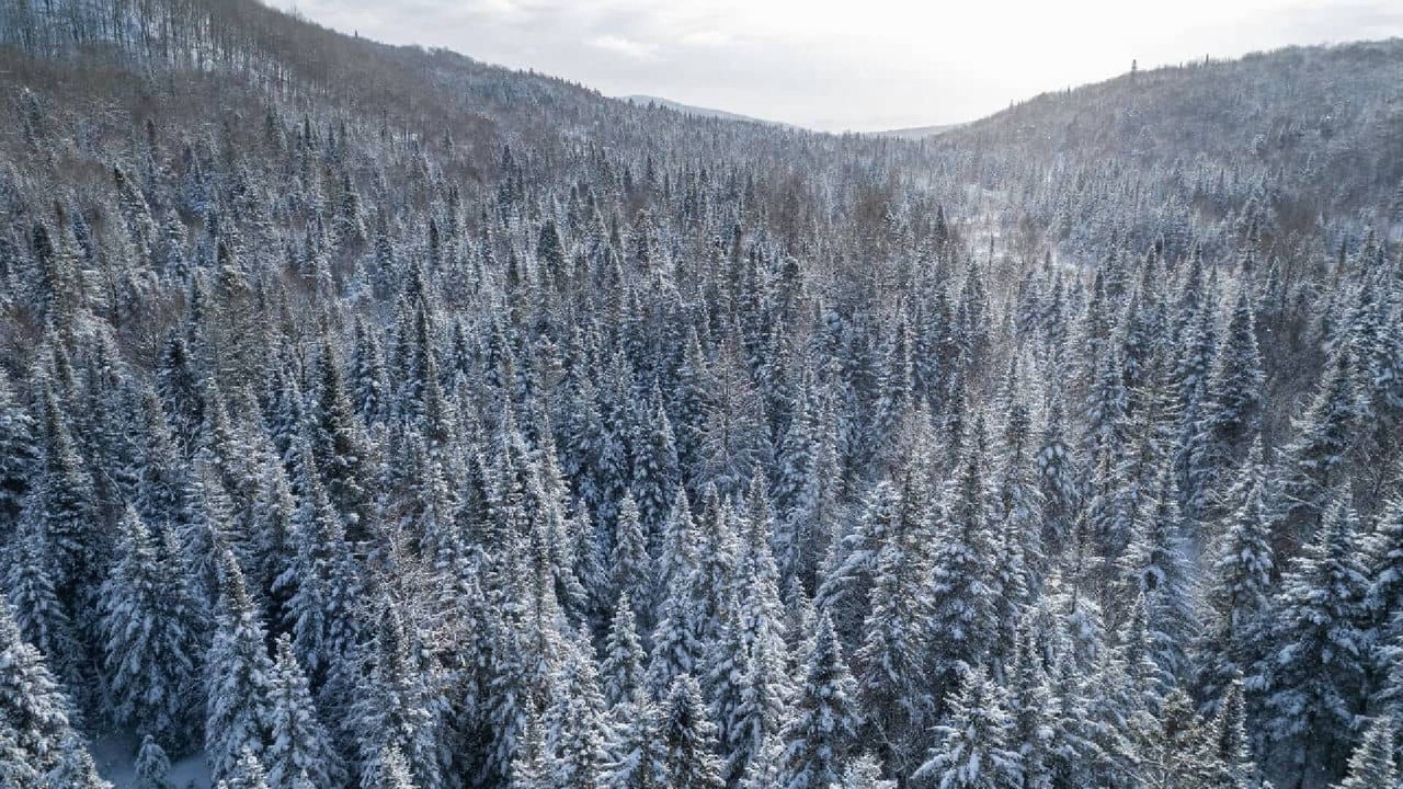 Photo of Others in Val-des-Lacs