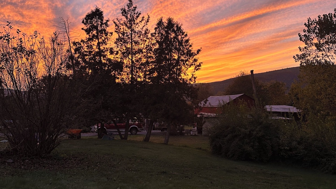 Photo of Others in Middleburgh