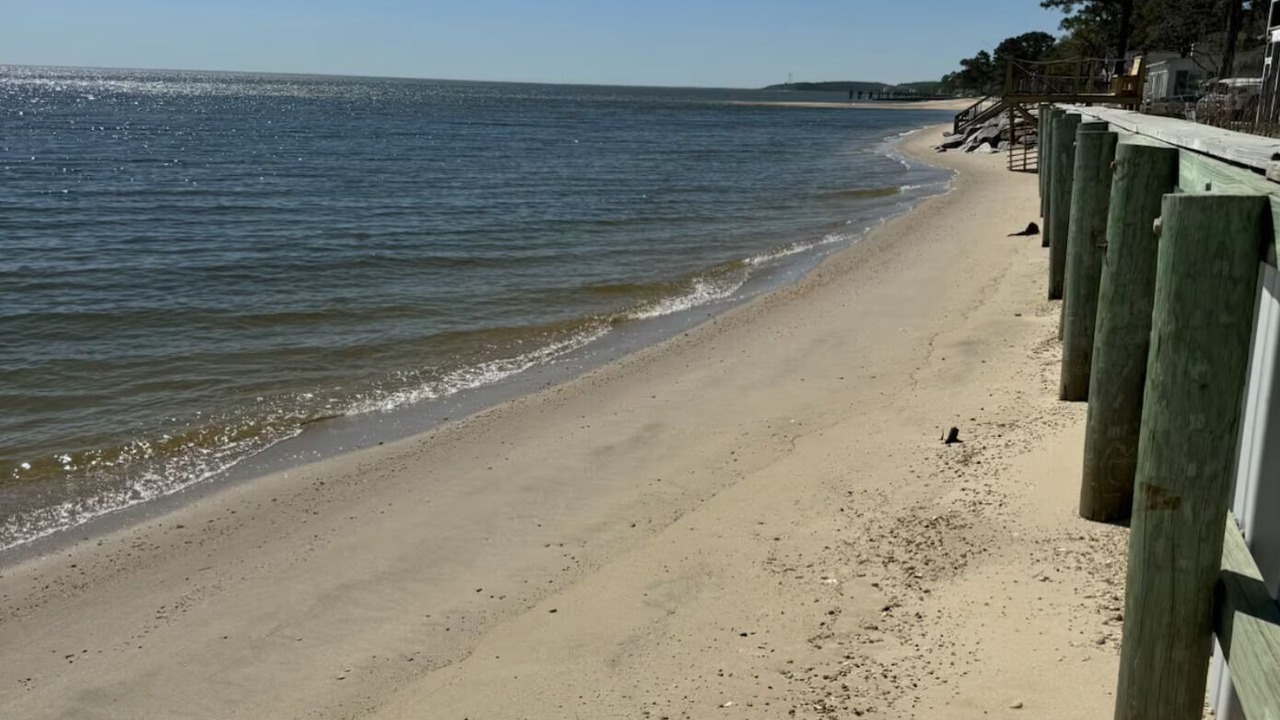 Photo of Others in Point Lookout