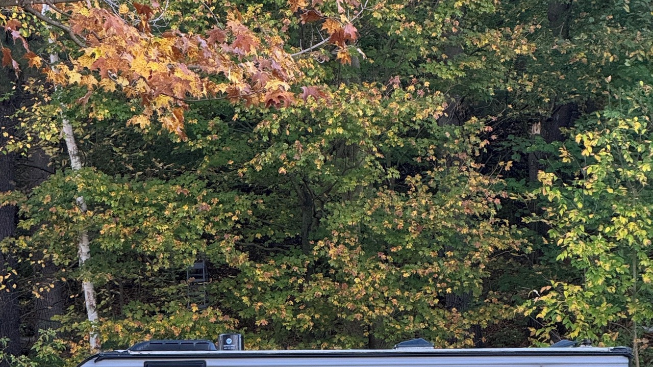 Photo of Outdoor in Knapp