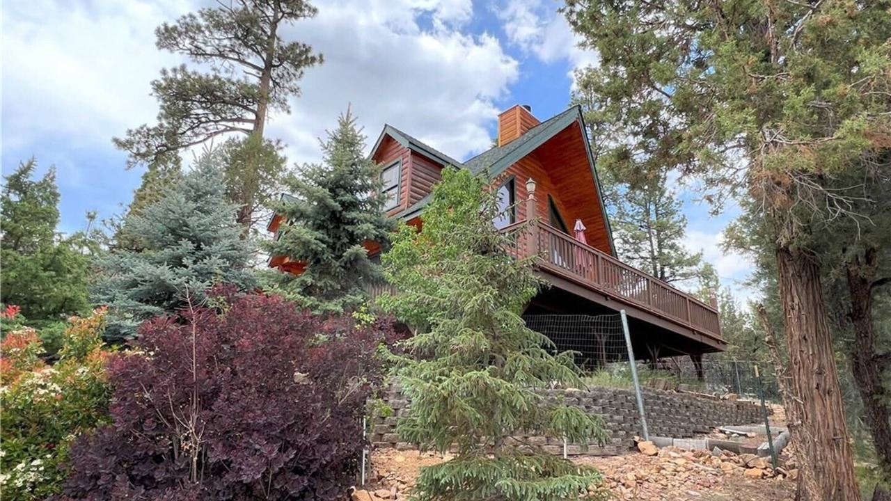 Photo of Outdoor in Whispering Forest