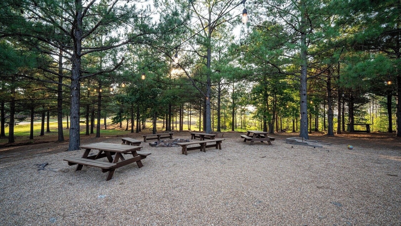 Photo of Outdoor in Amity