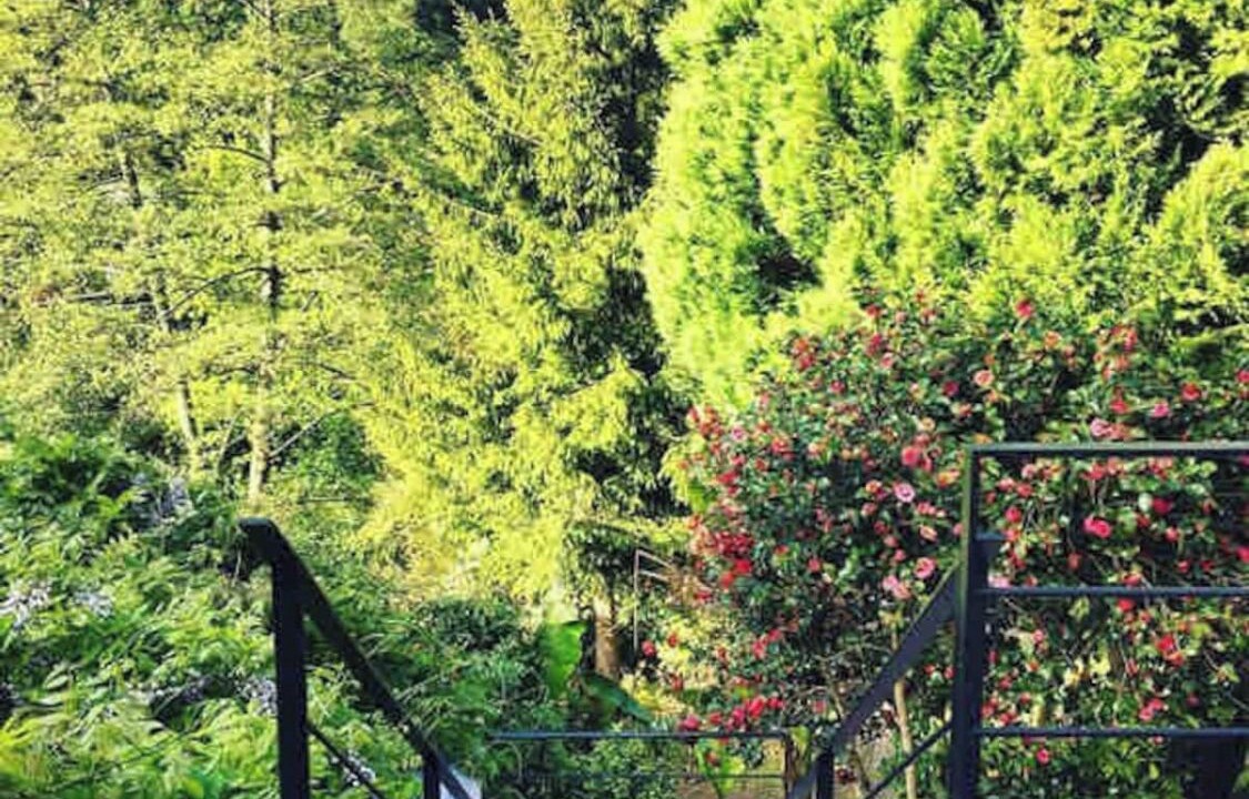 Photo of Outdoor in Perverie