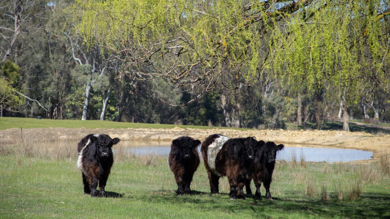 Photo of Others in Merton