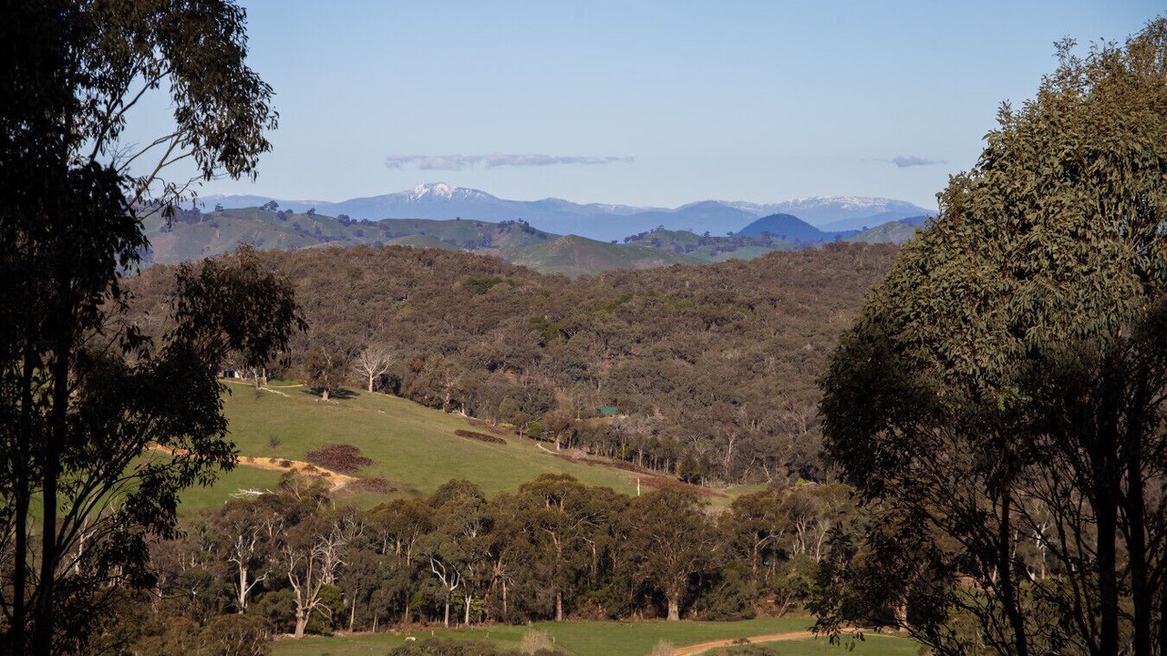 Photo of Others in Merton