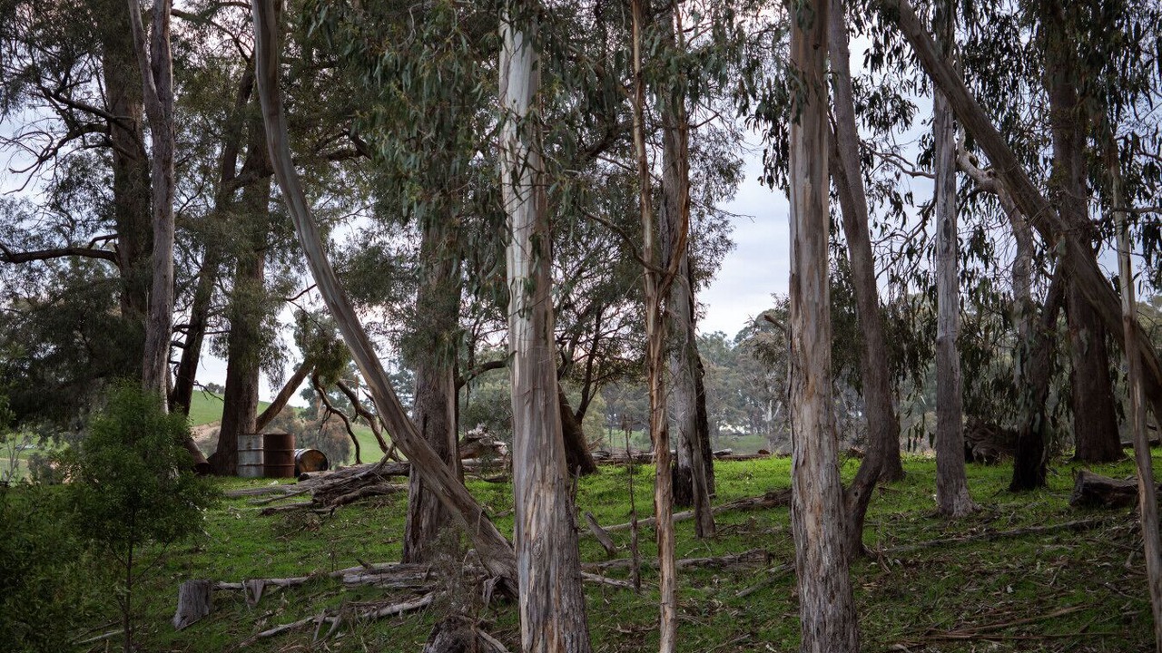 Photo of Outdoor in Merton